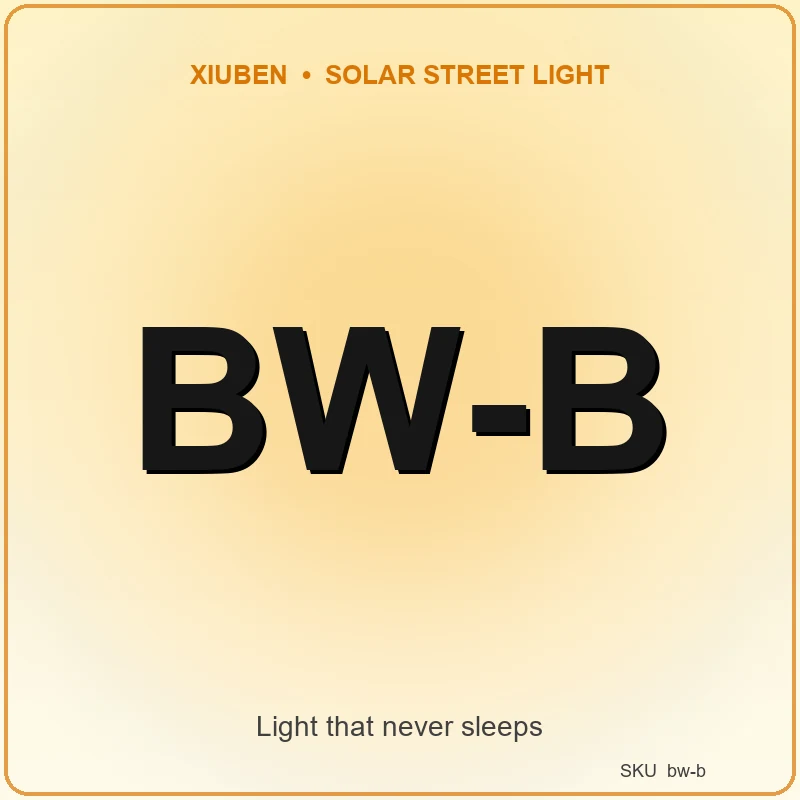 BW-B Solar Flood Light