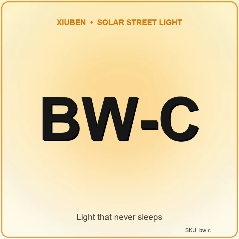 BW-C Solar Flood Light
